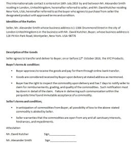 internation contract template